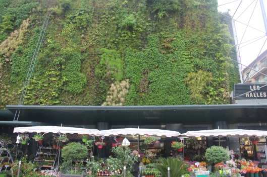 This is the outside of the market... those are all herbs climbing the walls.
